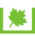 Bladkorven